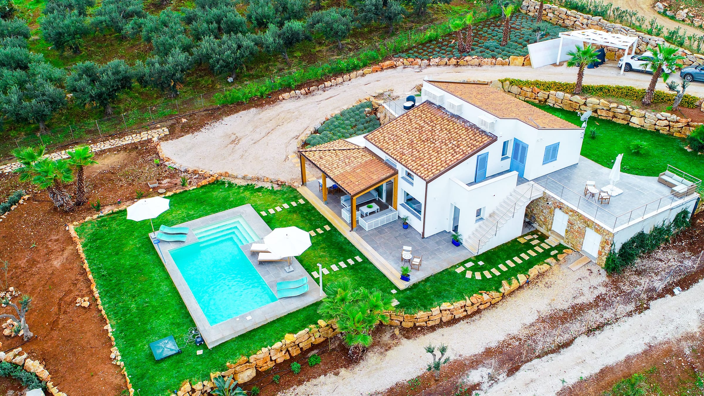 Aerial view of the white villa with its terracotta roof, the pool set in the lawn and an olive grove beside the plot